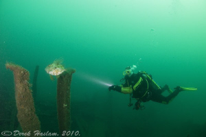Chris on the Persier wreck. Plymouth. D3, 16mm. by Derek Haslam 